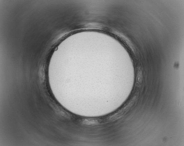 X0000116371407201001131738