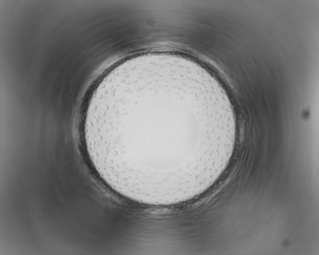 X0000116371410201001131738