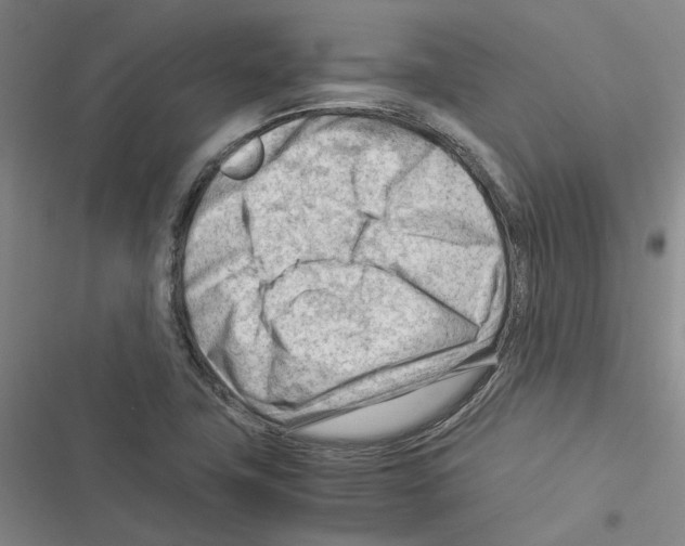 X0000116371411201001131738