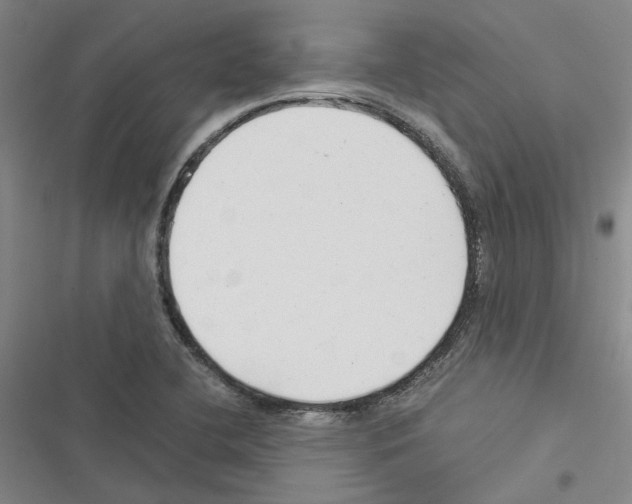 X0000116371412201001131738