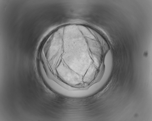 X0000116371414201001131738