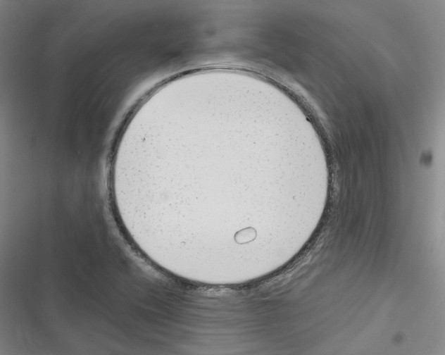 X0000116371416201001131738