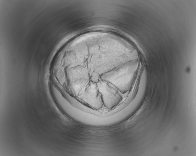 X0000116371418201001131738