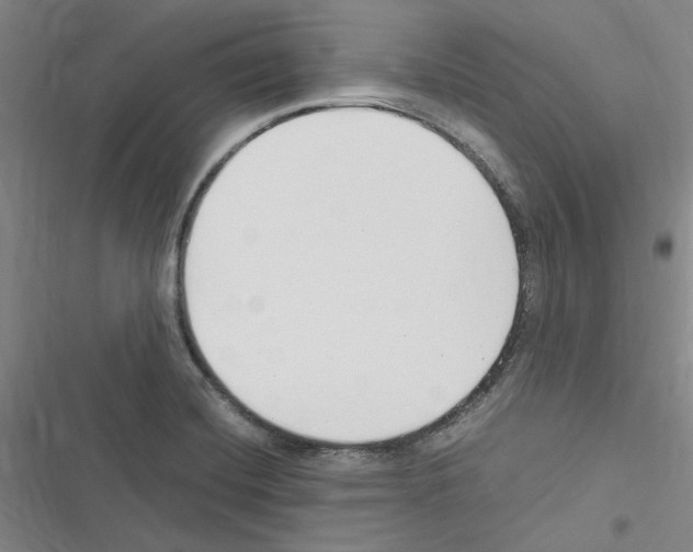 X0000116371420201001131738