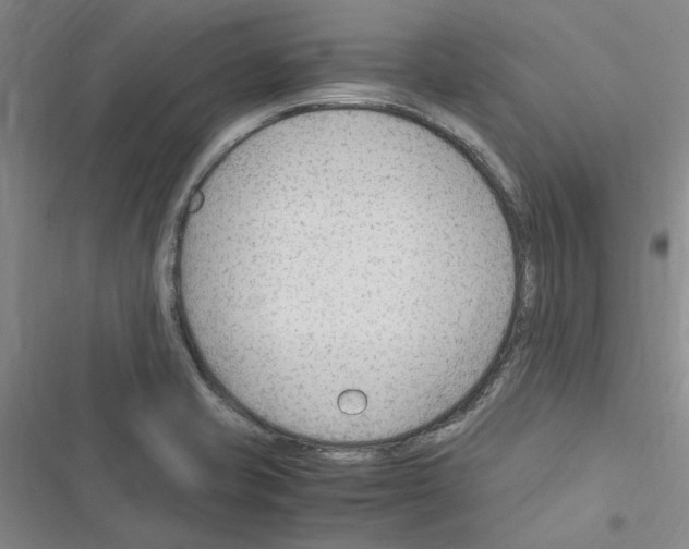 X0000116371421201001131738