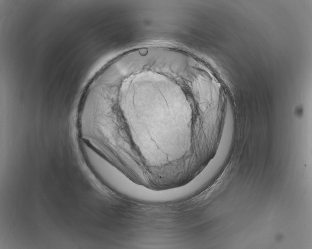 X0000116371422201001131738