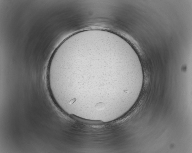 X0000116371423201001131738