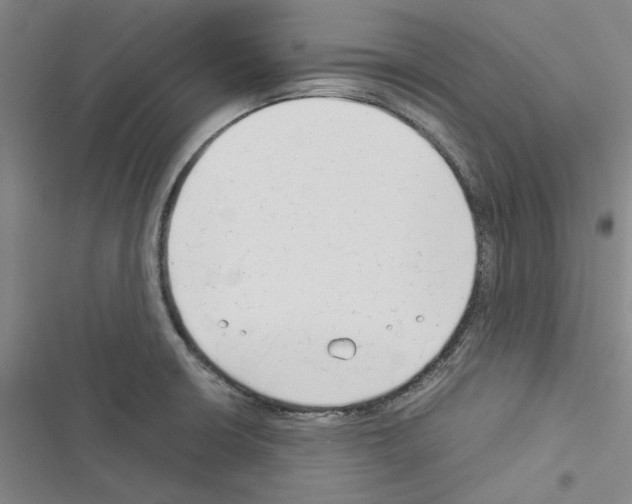 X0000116371426201001131738