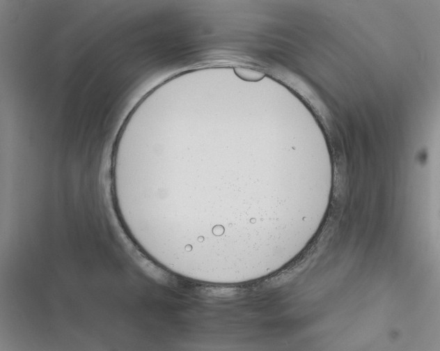 X0000116371431201001131738