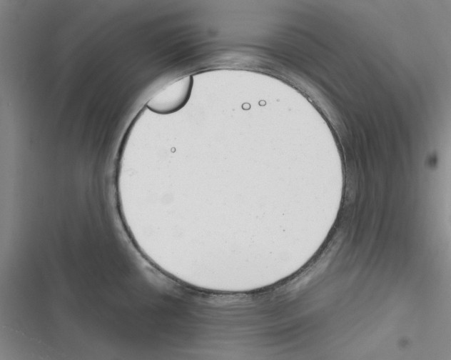 X0000116371434201001131738