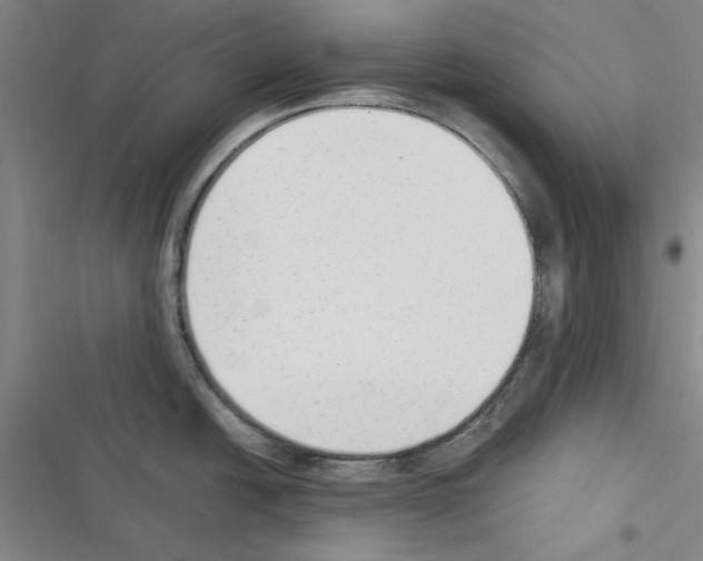 X0000116371438201001131738