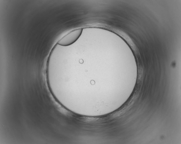 X0000116371439201001131738