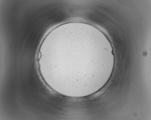 X0000116371440201001131738