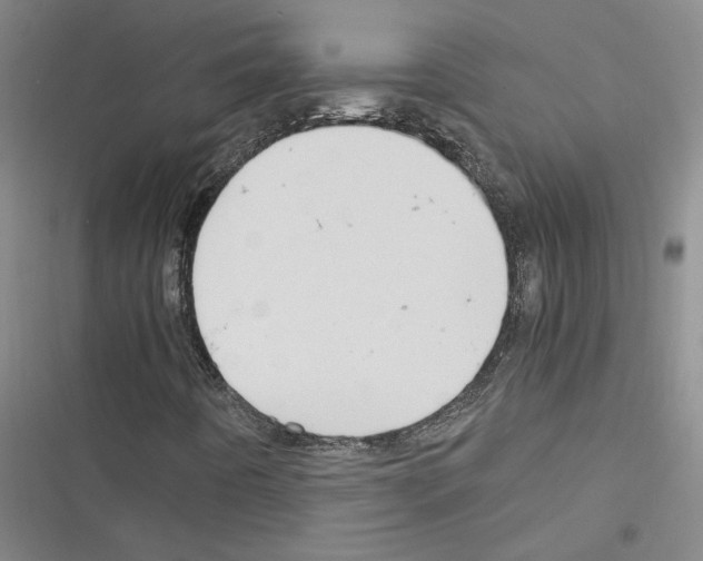 X0000116371442201001131737