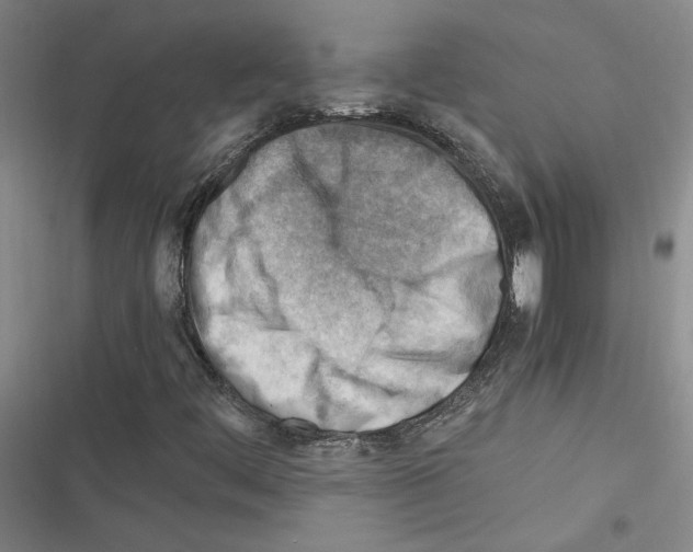 X0000116371444201001131737