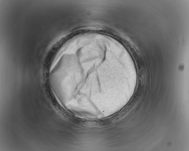 X0000116371448201001131737