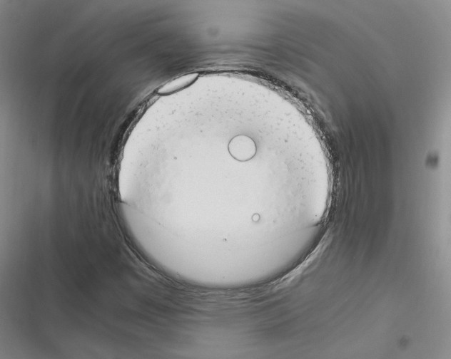 X0000116371449201001131737