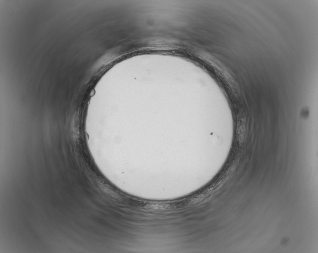 X0000116371451201001131737