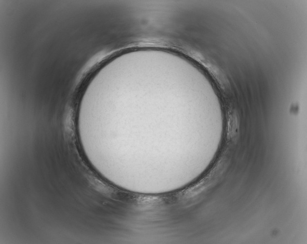 X0000116371454201001131737