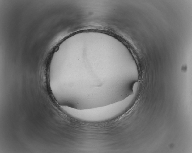 X0000116371455201001131737