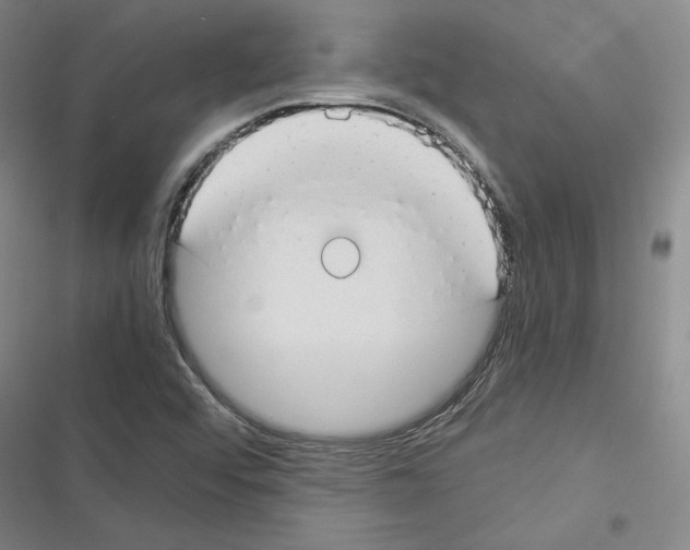 X0000116371456201001131737