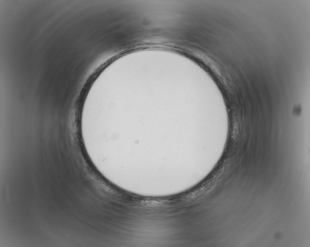 X0000116371458201001131737