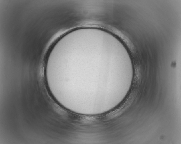 X0000116371462201001131737