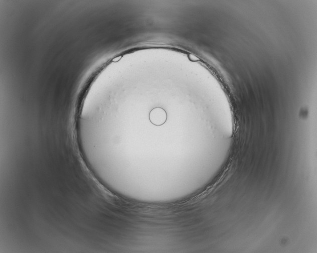 X0000116371464201001131737