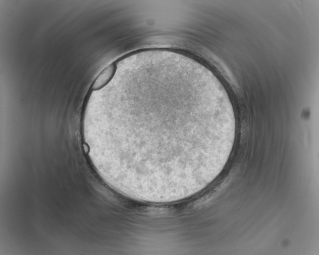 X0000116371465201001131737