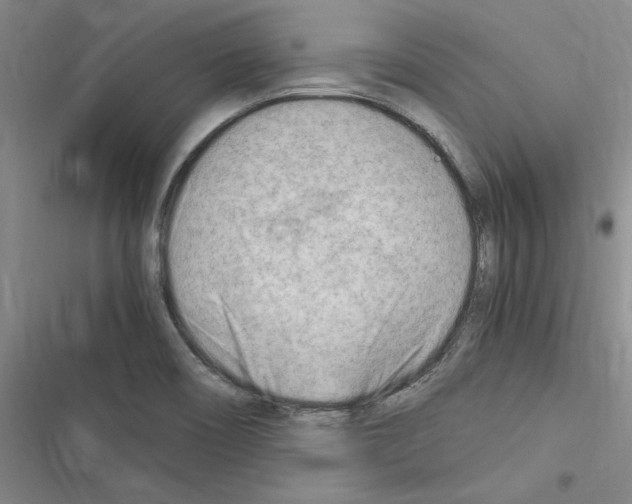 X0000116371466201001131737