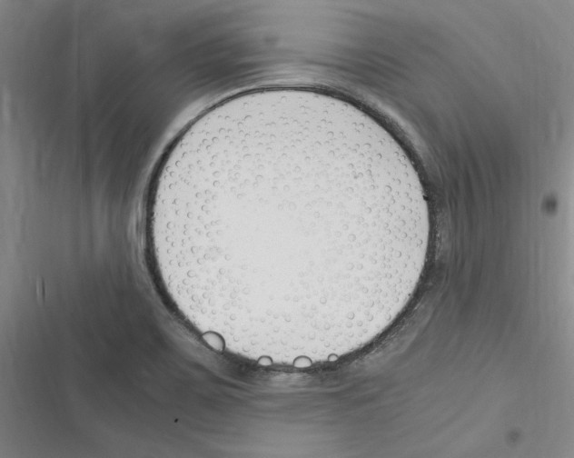 X0000116371467201001131737