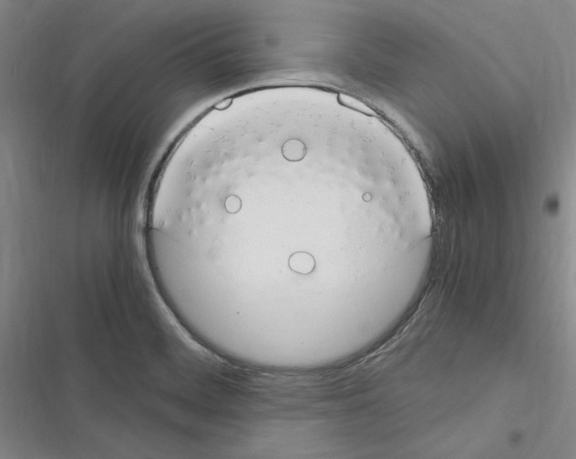 X0000116371468201001131737