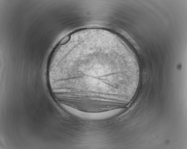 X0000116371469201001131737