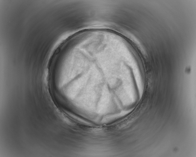 X0000116371472201001131737