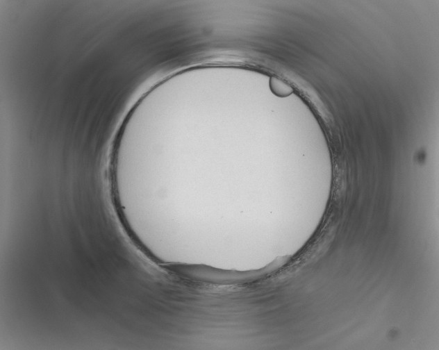 X0000116371475201001131737