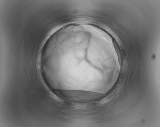 X0000116371477201001131737