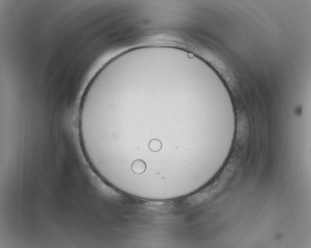 X0000116371478201001131737