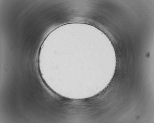 X0000116371479201001131737