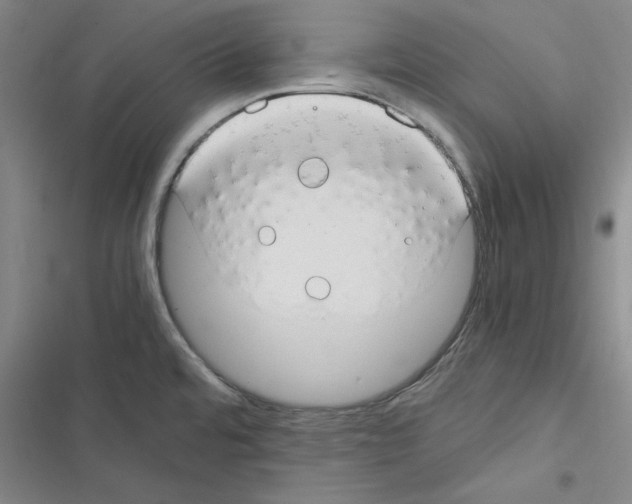 X0000116371480201001131737