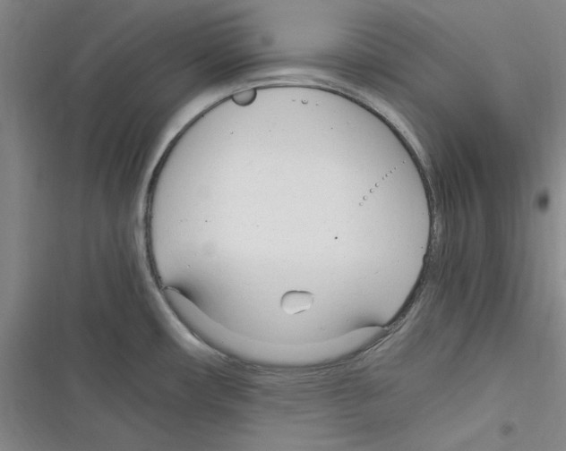 X0000116371482201001131737