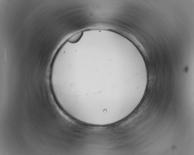 X0000116371484201001131737