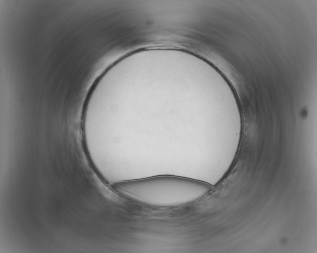 X0000116371485201001131737