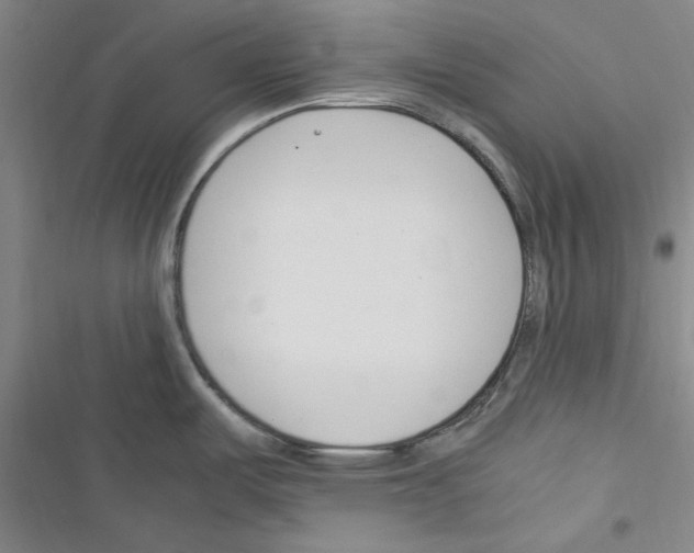 X0000116371487201001131737