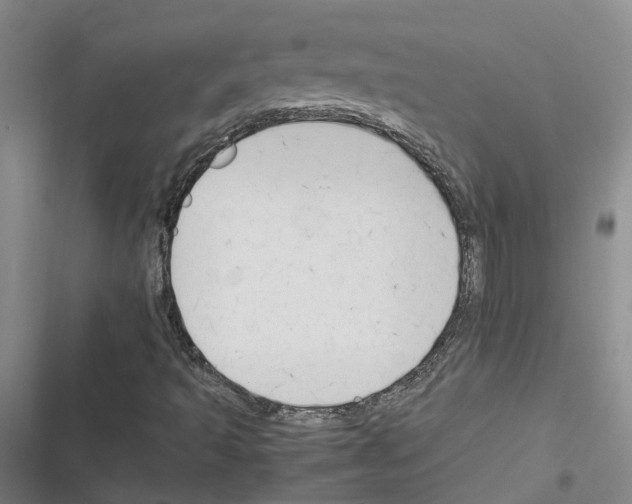 X0000116371493201001131736