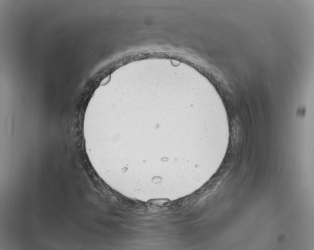 X0000116371494201001131736