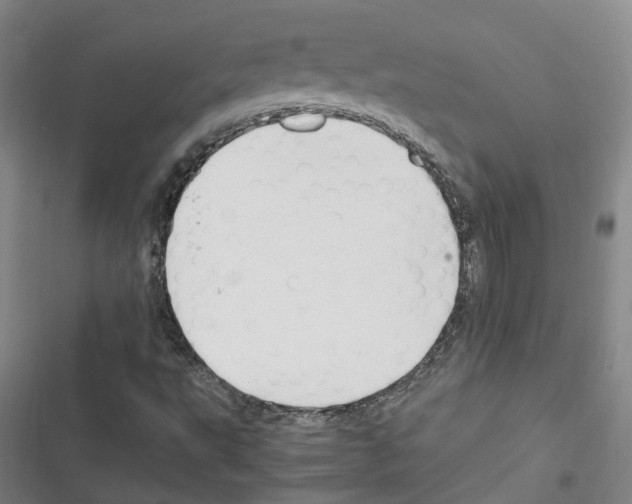 X0000116371495201001131736