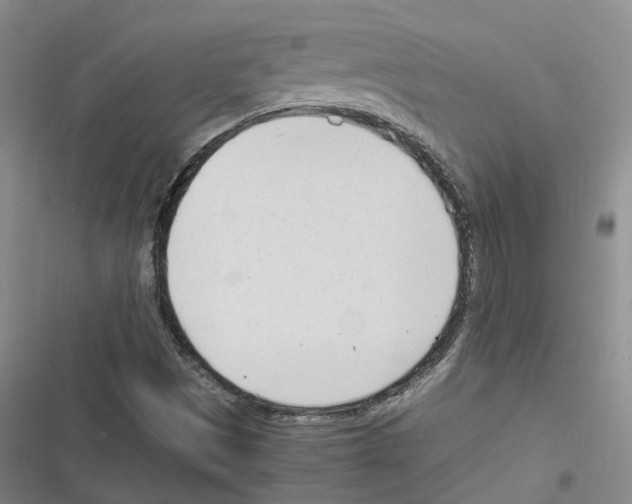 X0000116371497201001131736