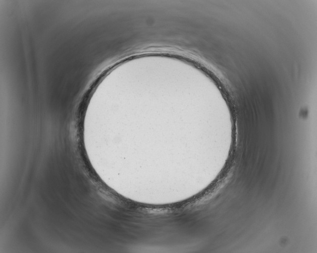 X0000116371501201001131736