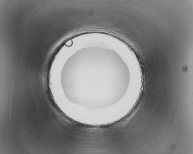 X0000116371502201001131736