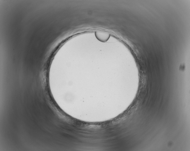 X0000116371503201001131736